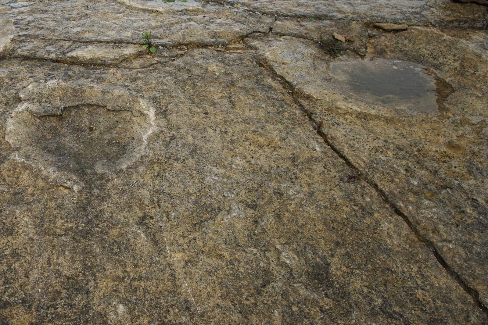 Purbeck Footprints Alternative Purbeck Footprints