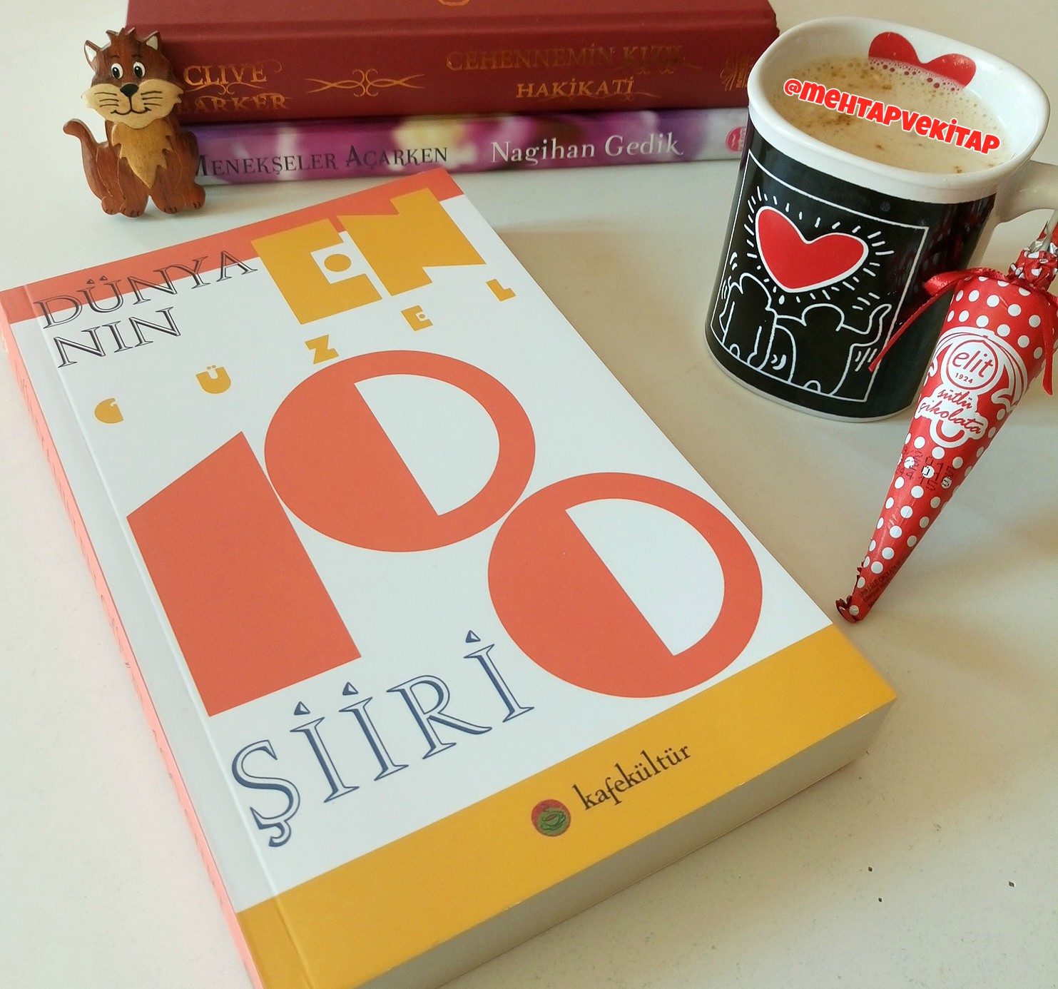 Kitaplarım ve Ben : Kitap Blogu : Okudum Bitti- 30 : Dünyanın En Güzel