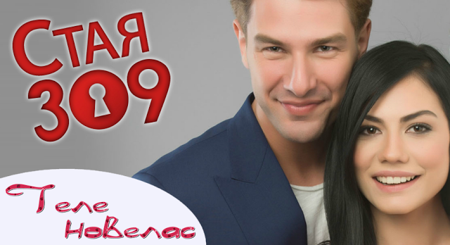 Staya 309 Gledajte Epizod 13 21 I Oktomvri Diema Family