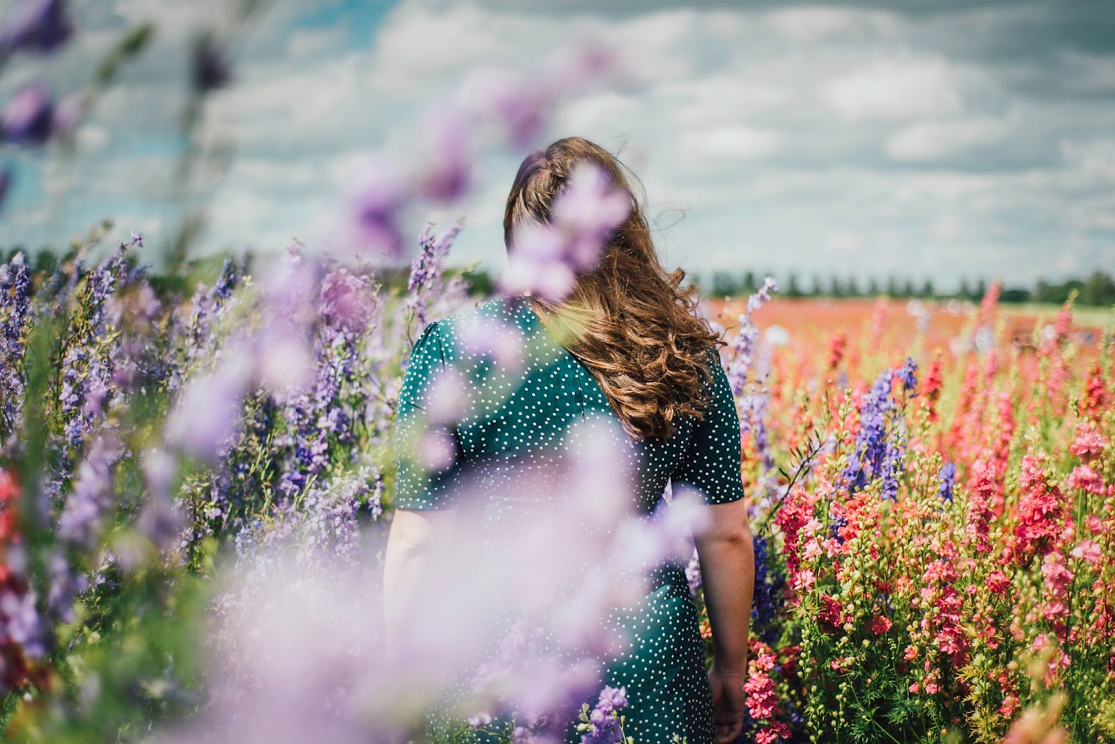 Visiting The Confetti Flower Fields wick blogger liquid grain liquidgrain Visiting The Confetti Flower Fields wick blogger liquid grain liquidgrain