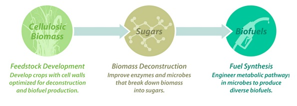 Next Biotechnology News | eBio World: Bioenergy