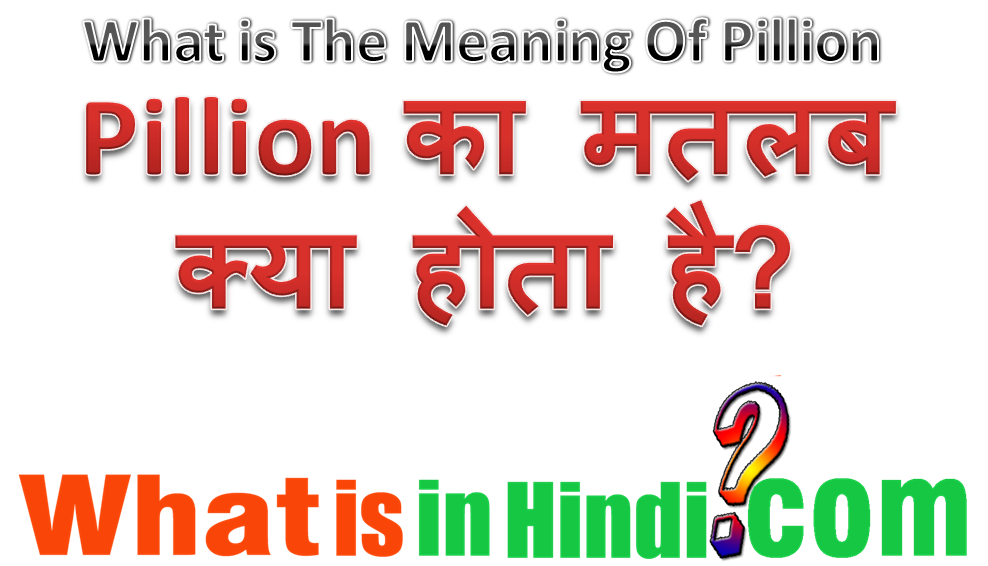 Pillion का मतलब क्या होता है What is the meaning of Pillion in Hindi