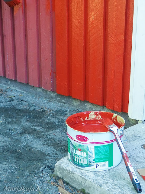 Punaisen puutalon julkisivun huoltomaalaus, räystäiden vaihto sekä varastojen ovien maalaus.