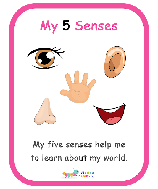 My Body for kids - My Five Senses