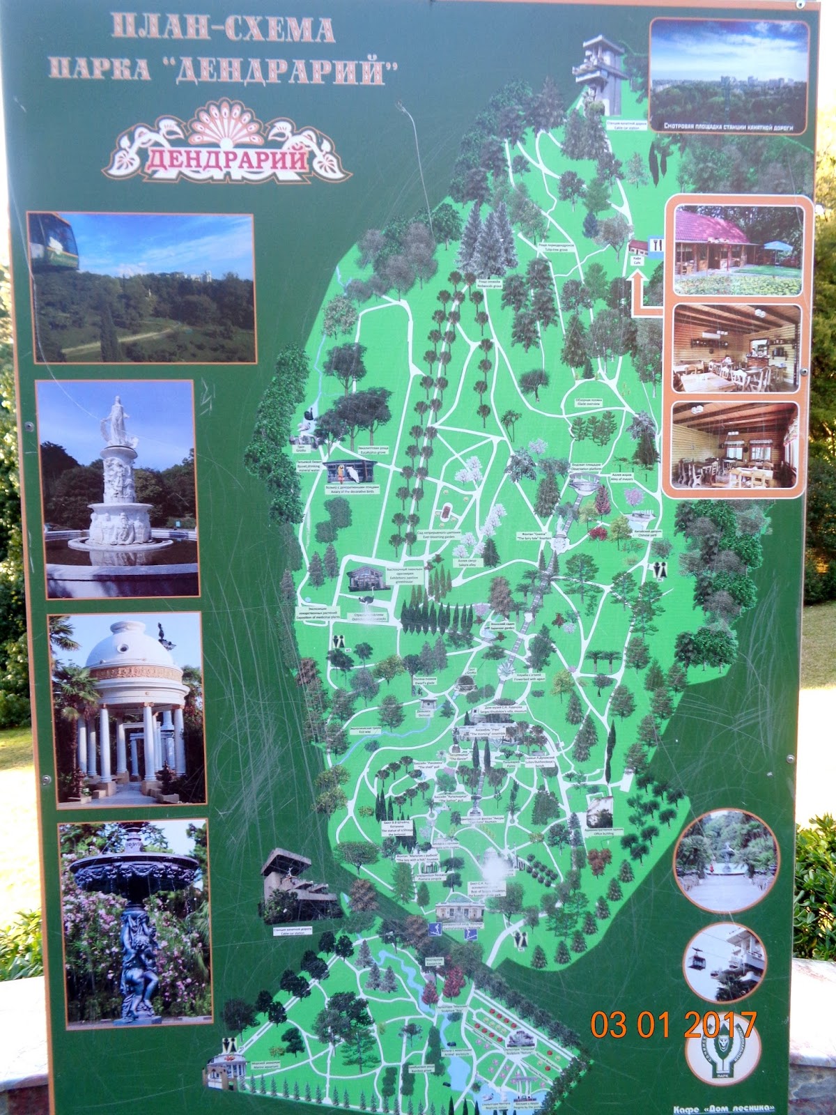 Сочинский дендрарий карта парка