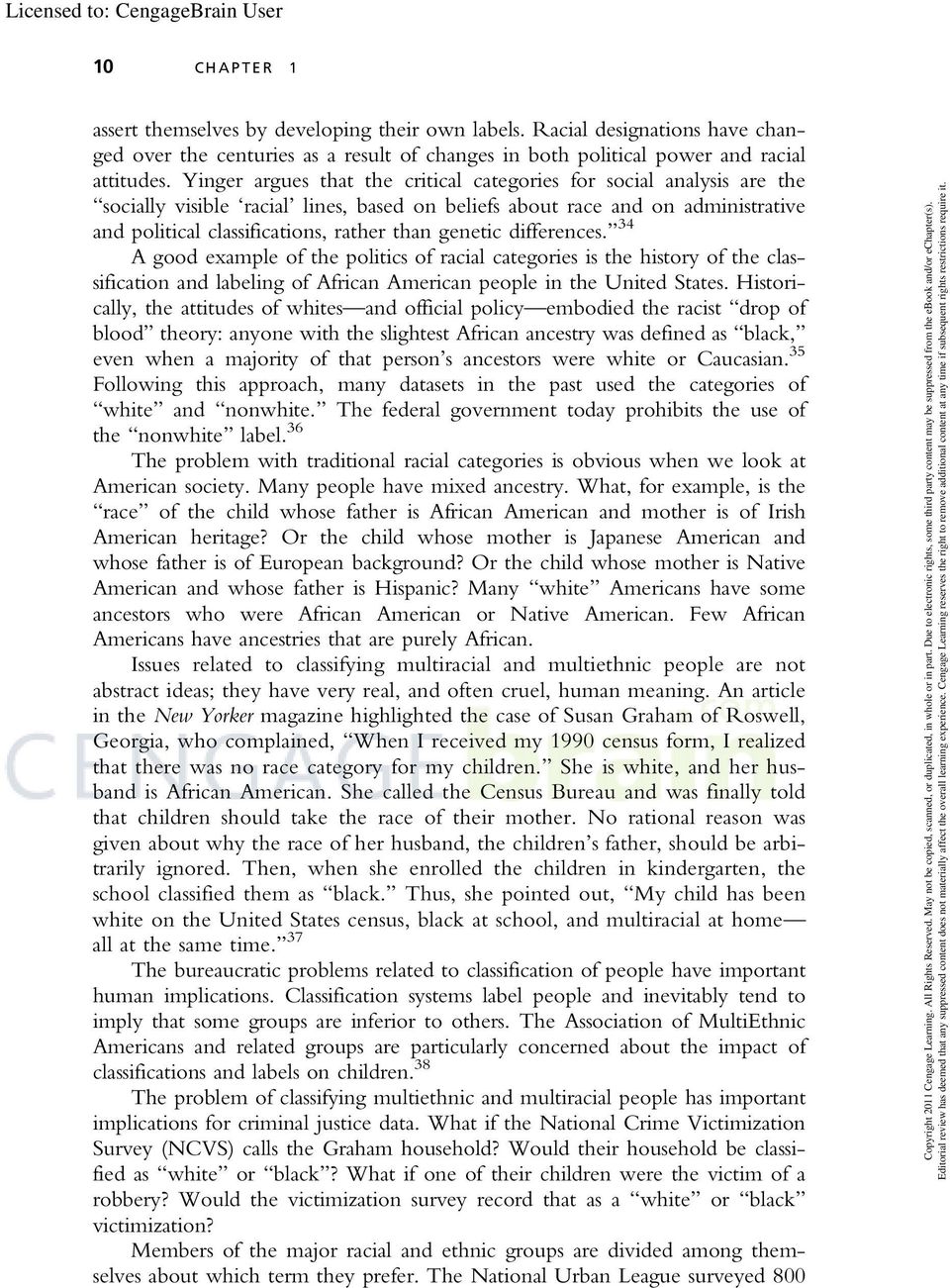 English essay racism 05 image