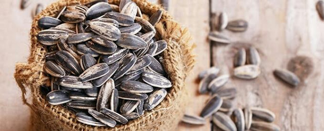 فوائد اللب السوري فوائد اللب السوري