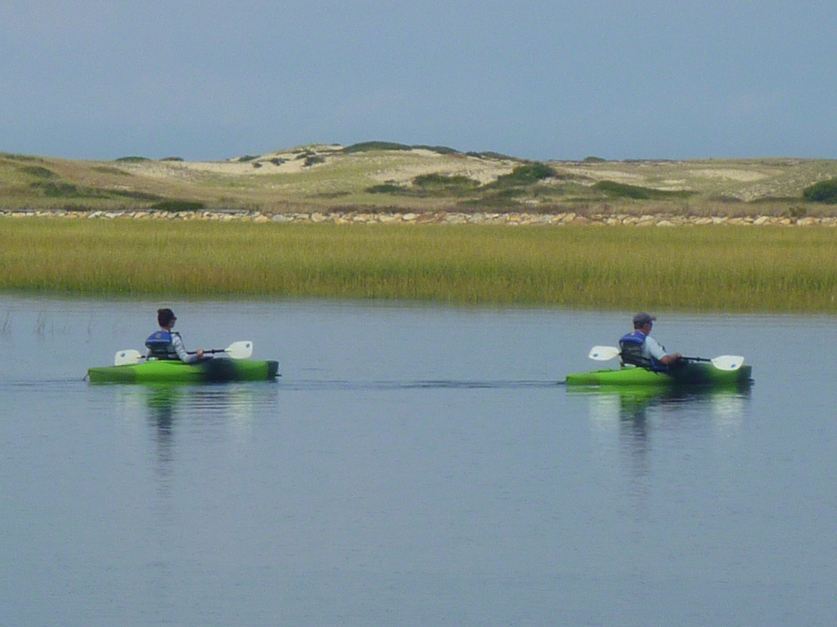 Trailing Ahead From Provincetown to Herring Cove and Hatches Harbor