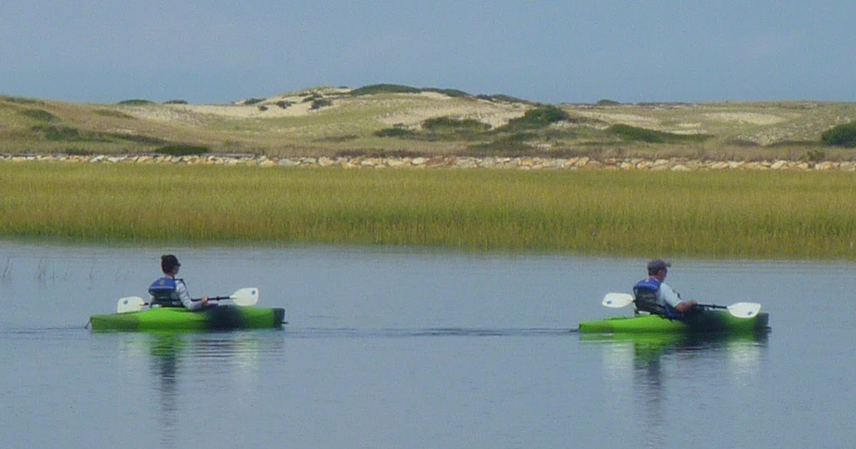 Trailing Ahead From Provincetown to Herring Cove and Hatches Harbor