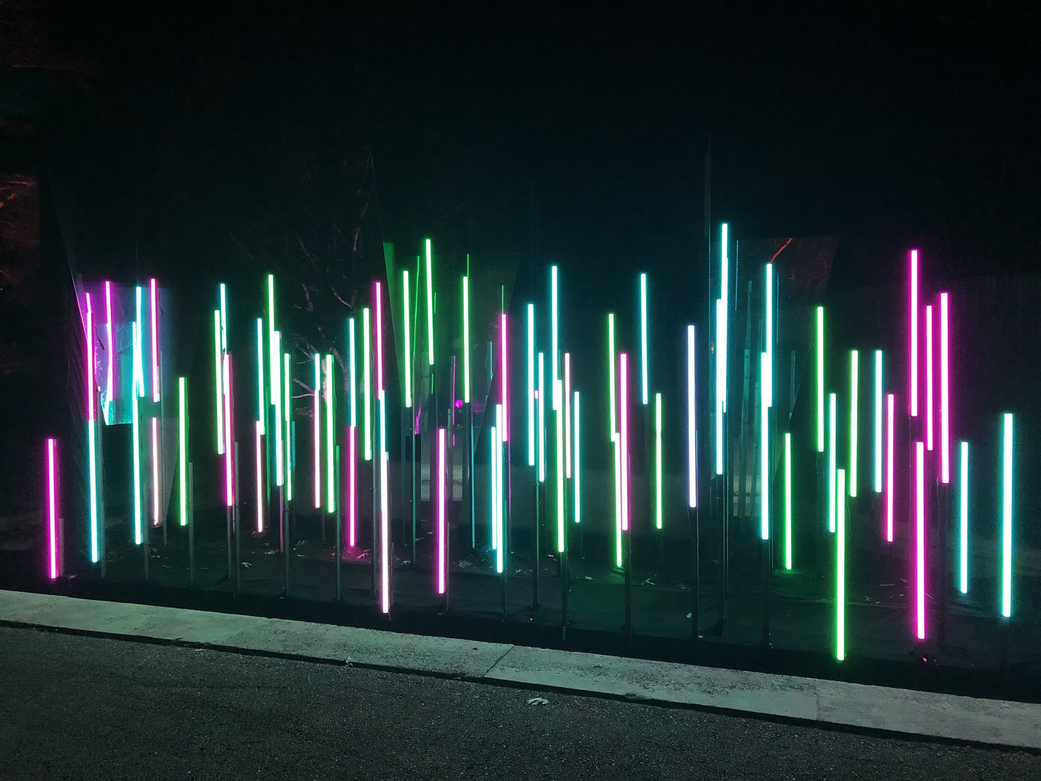 A Little Time And A Keyboard Dazzled By Nature Inspired Holiday Lights At Chicago Botanic Garden S Lightscape