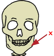 40 Soal Penilaian Akhir Semester PAS/UAS Kelas 5 Tema 1