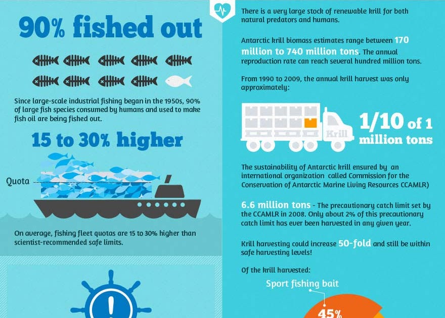 Krill Oil vs Fish Oil vs Cod Liver Oil What's the Difference?