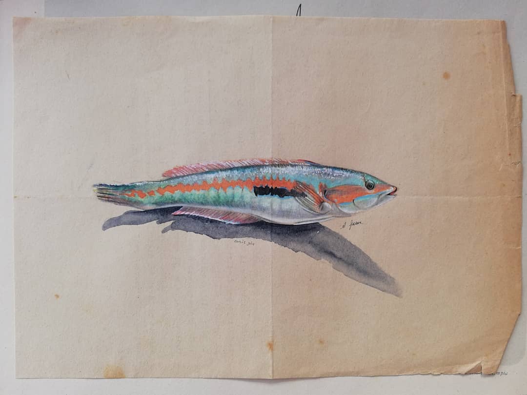 Artichaut 42 Libri Arte Film Lifestyle Minchia di re Pilati