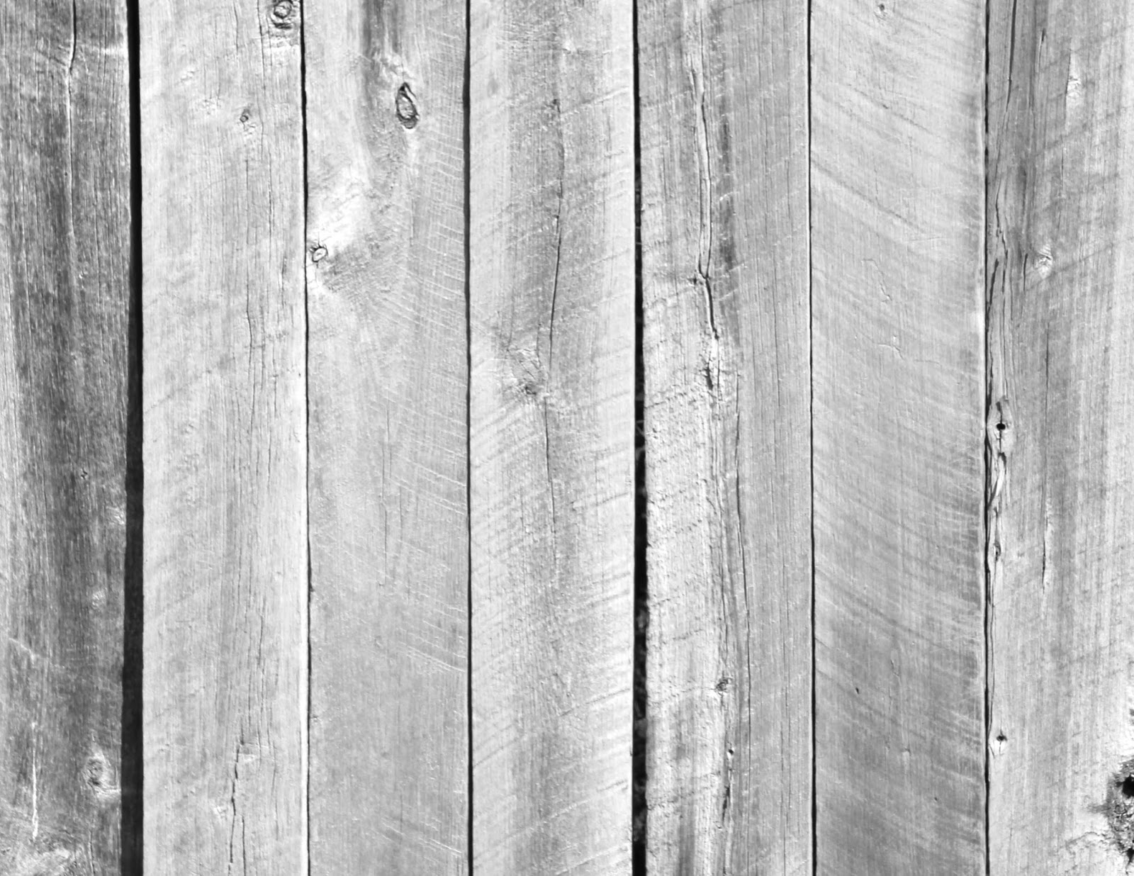 365 Projects: Wood Fence - Texture Photograph