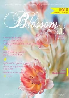 BLOSSOM ZINE