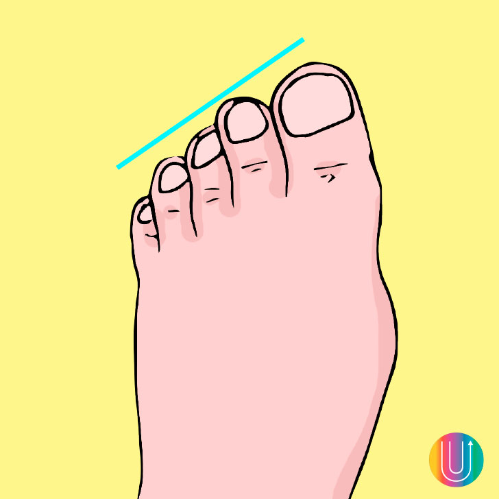 Sintético 91+ Foto Nombres De Los Dedos Del Pie Imagenes Actualizar