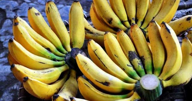 Jenisjenis Pisang Di Indonesia Yang Dapat Dikonsumsi dan