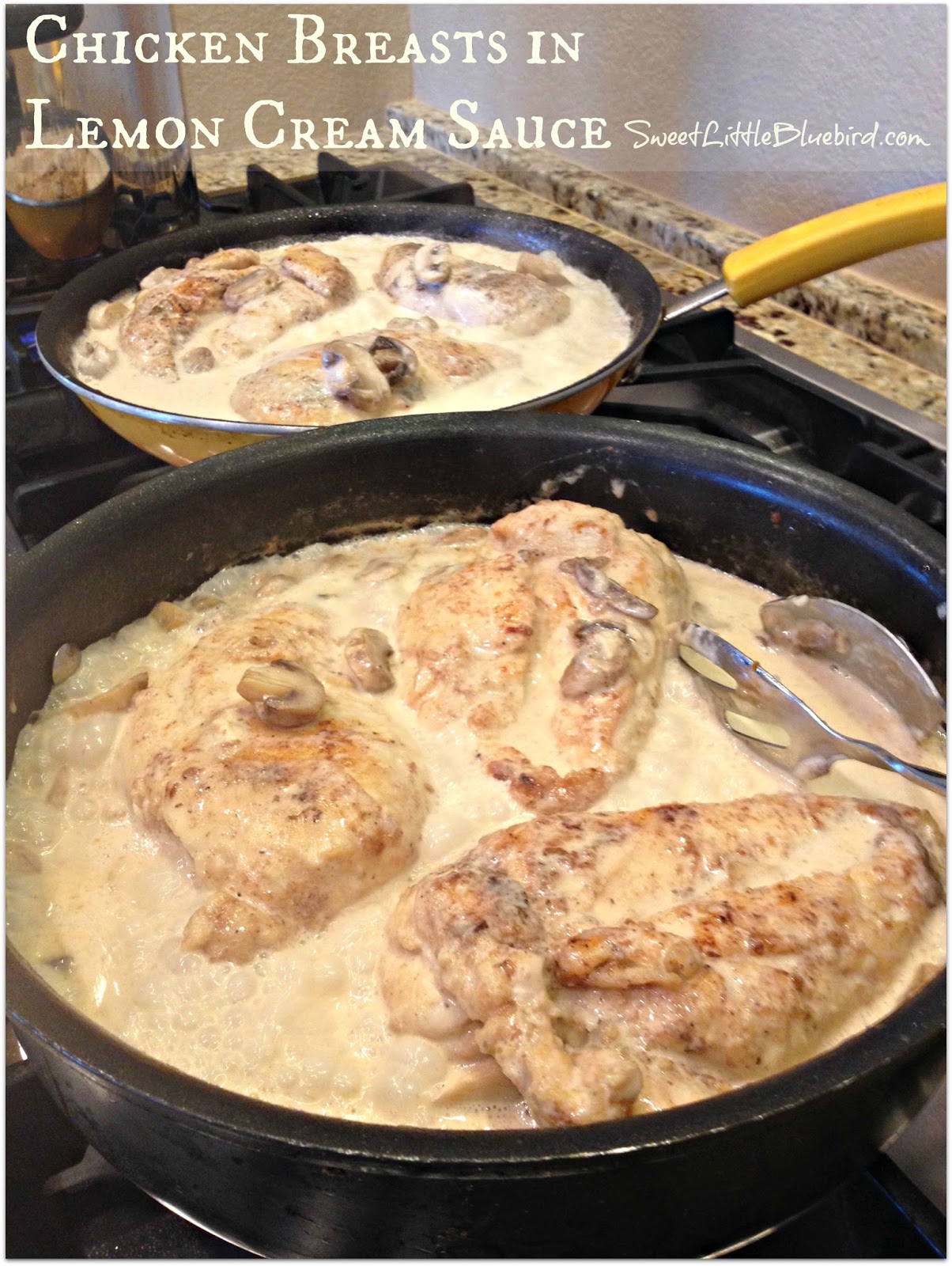 Sweet Little Bluebird Chicken Breasts in Lemon Cream Sauce