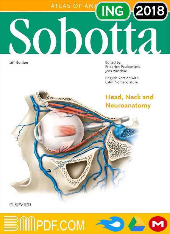Sobotta Atlas of Anatomy volume 3 16th edition PDF