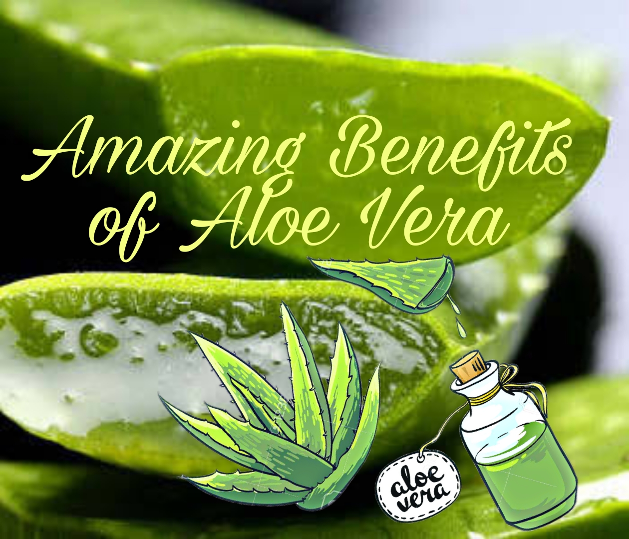 Amazing Health Benefits Of Aloe Vera Infotalky