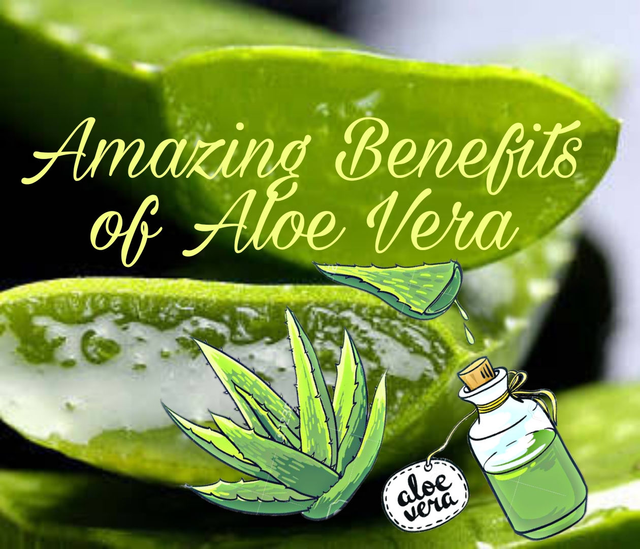 Amazing health benefits of aloe vera InfoTalky