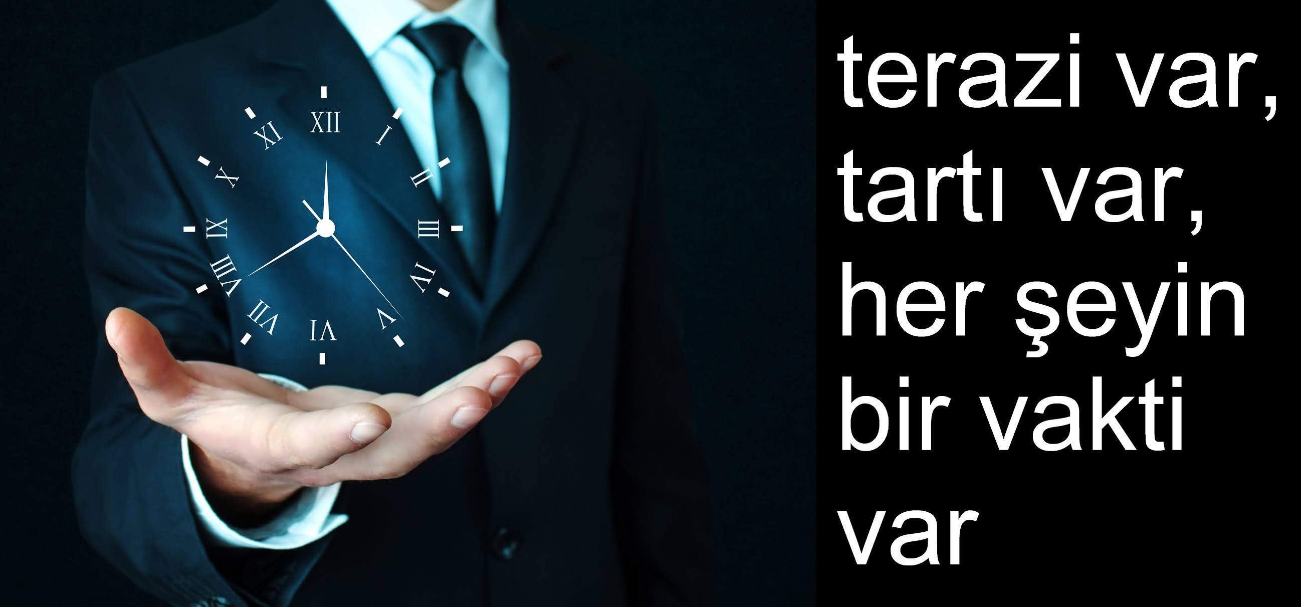 romanya karpat çoban köpeği