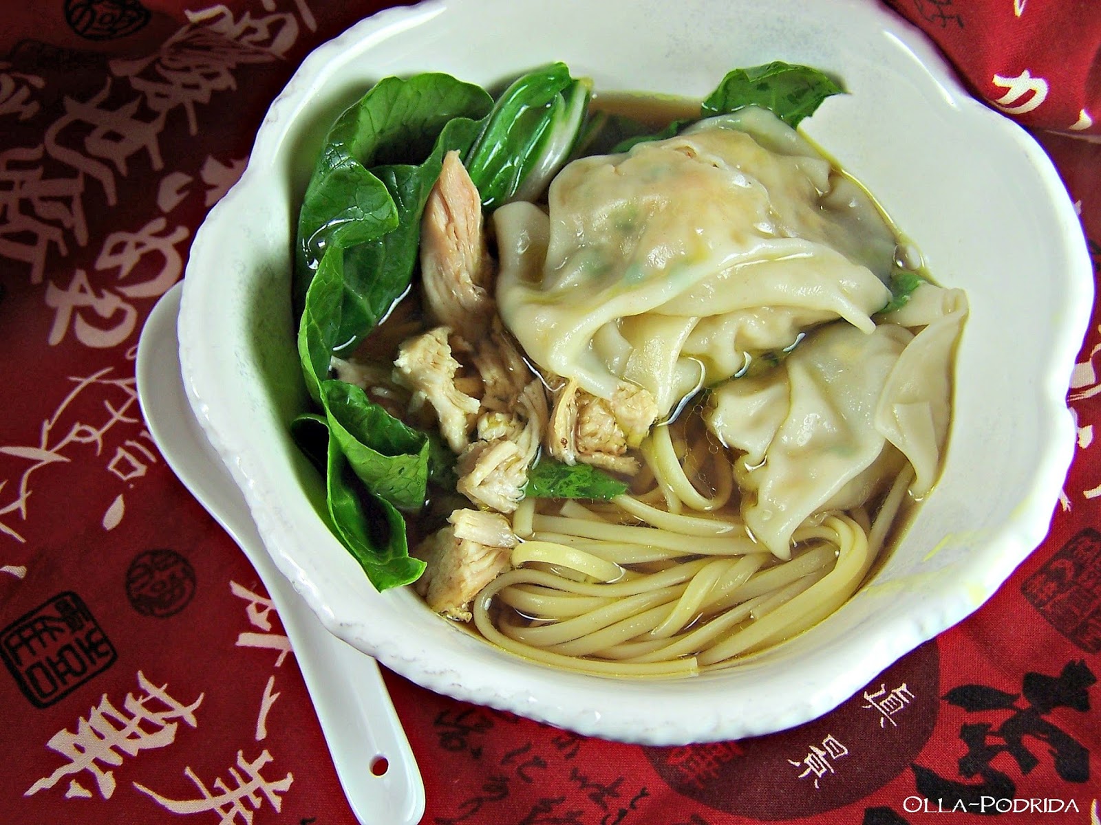 OllaPodrida Wonton Chicken Noodle Soup