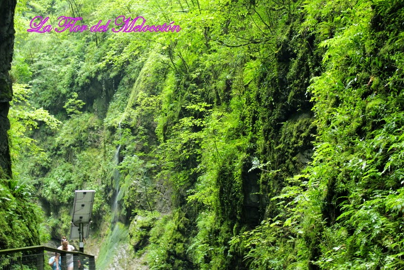 Gargantas de Kakueta