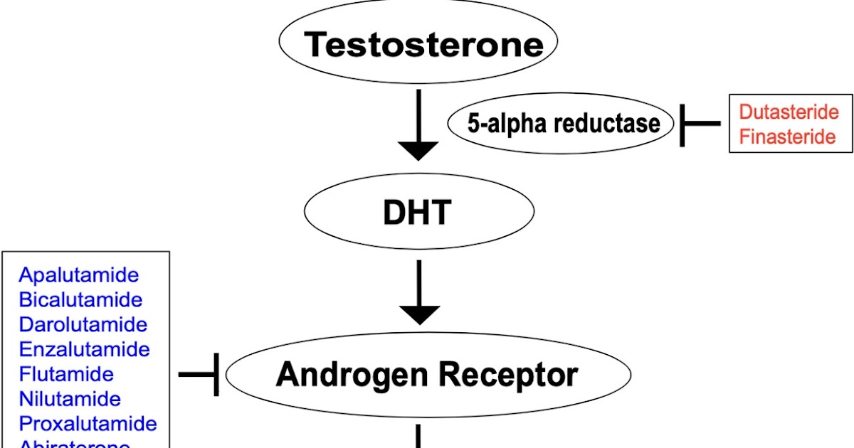 Anti Androgen Treatment for COVID19 Proxalutamide, Finasteride