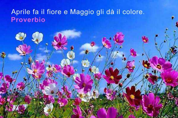 Aforismi, frasi e proverbi su Maggio | Aforismario