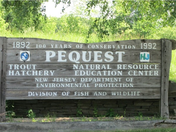 Endangered New Jersey: Pequest Trout Hatchery and Natural Resource