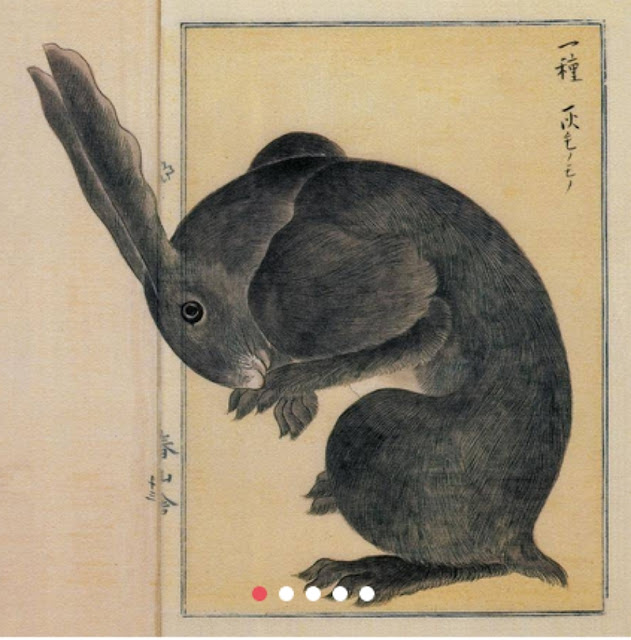 Takagi Haruyama - японский иллюстратор(1803-1868) эпохи Эдо.
