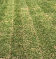 gras niet goed gesproeid graszoden drogen uit