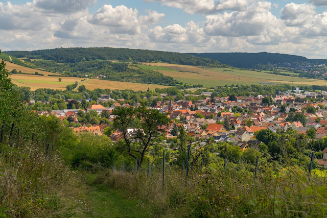 Panoramaweg Taubertal Etappe 3 Tauberbischofsheim - Bad Mergentheim 08