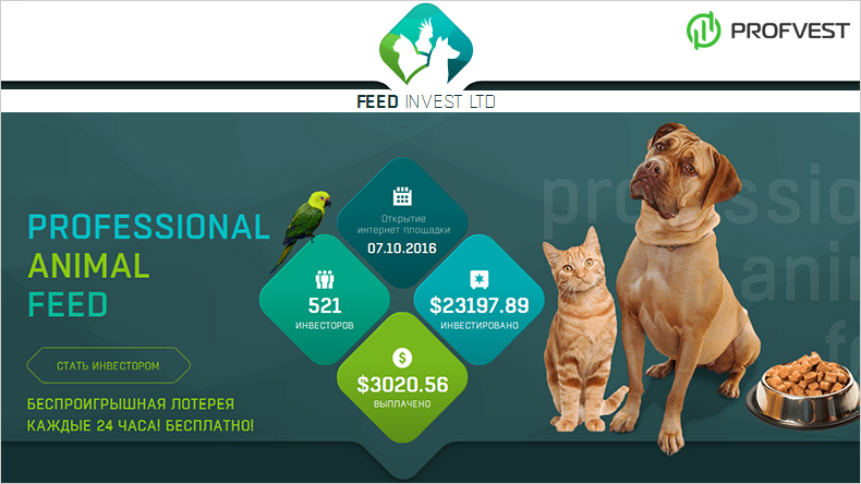 Feed Invest: обзор и отзывы (мой вклад 200$) Feed Invest обзор и отзывы вклад 200$