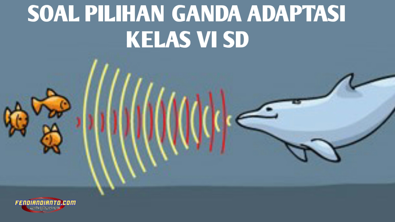 Soal Pilihan Ganda Adaptasi Kelas Vi F3nd1 Channel Blog