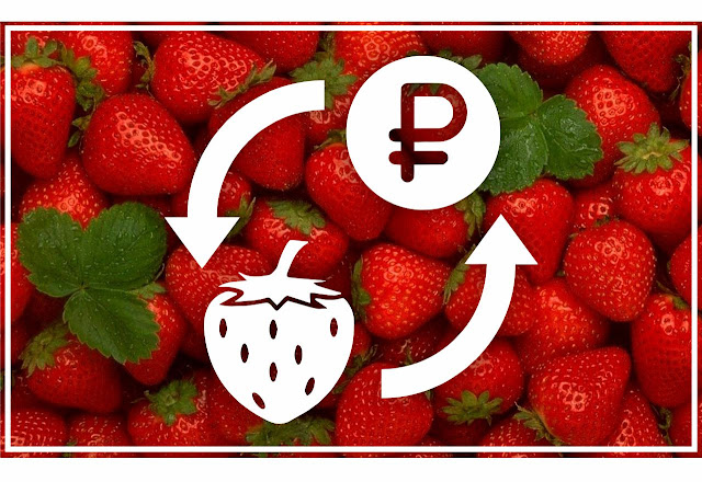Выращивание клубники Бизнес по выращиванию клубники