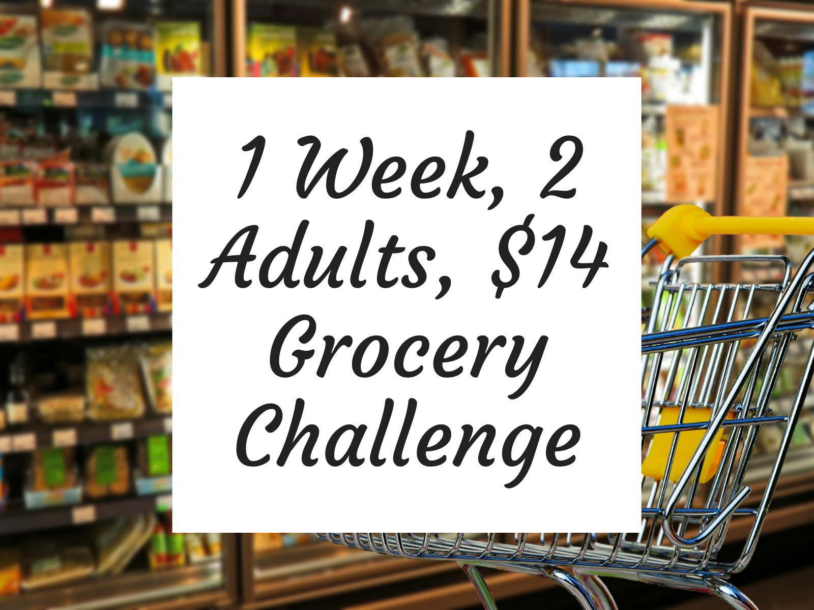 1 Week, 2 Adults, 14 Grocery Challenge