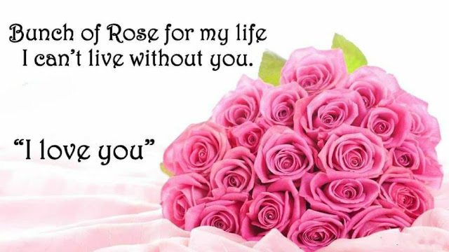 rose day images with quotes for husband, rose day quotes 2020, rose day quotes for my husband, happy rose day quotes 2019, rose day quotes for hubby, quotes on rose day for girlfriend, quotes on rose day for husband, rose day quotes for bf, rose day quotes for long distance relationship, rose day quotes for husband in english, rose day quotes for singles