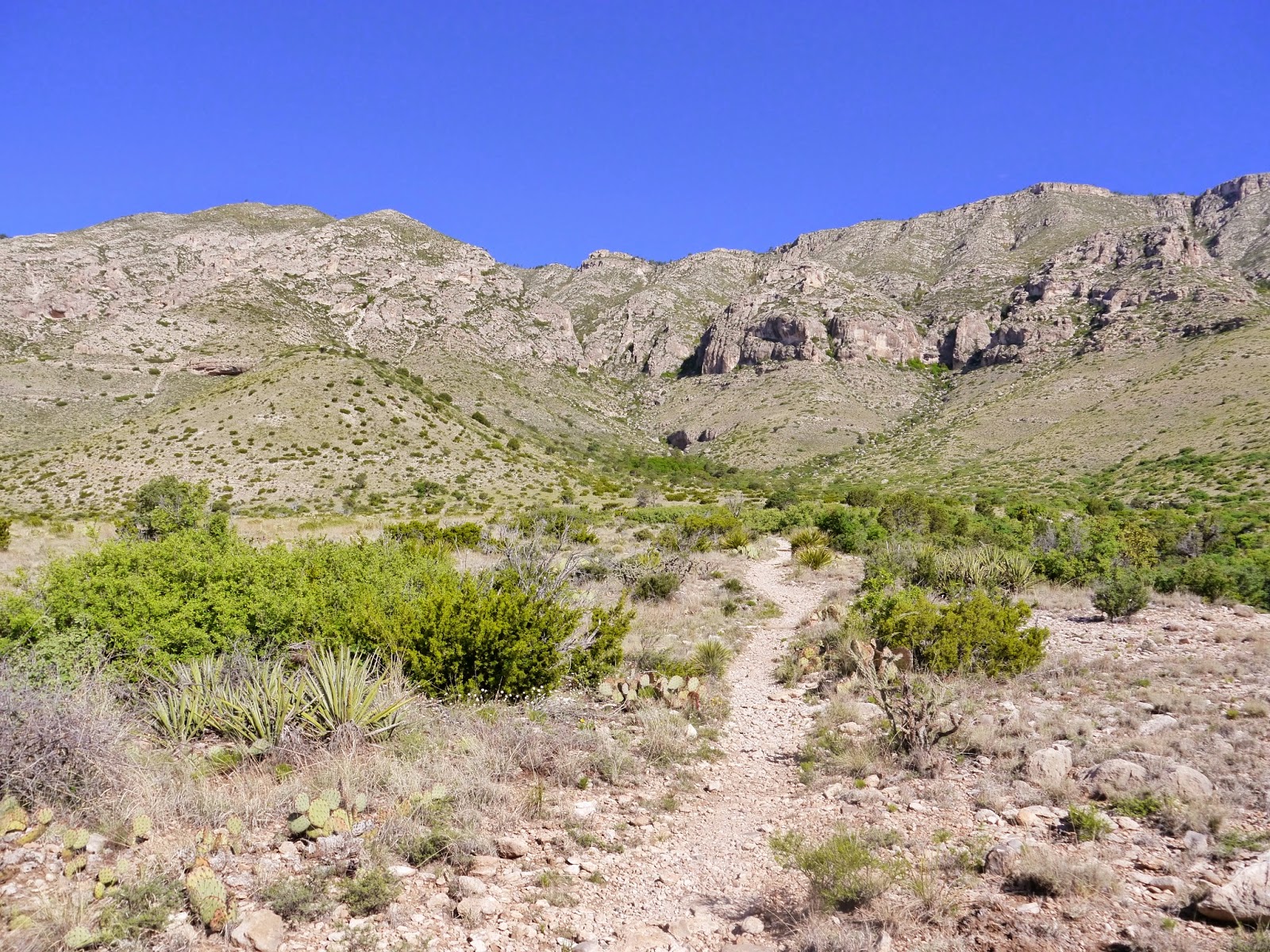 American Travel Journal: Smith Spring Loop Trail - Guadalupe Mountains ...