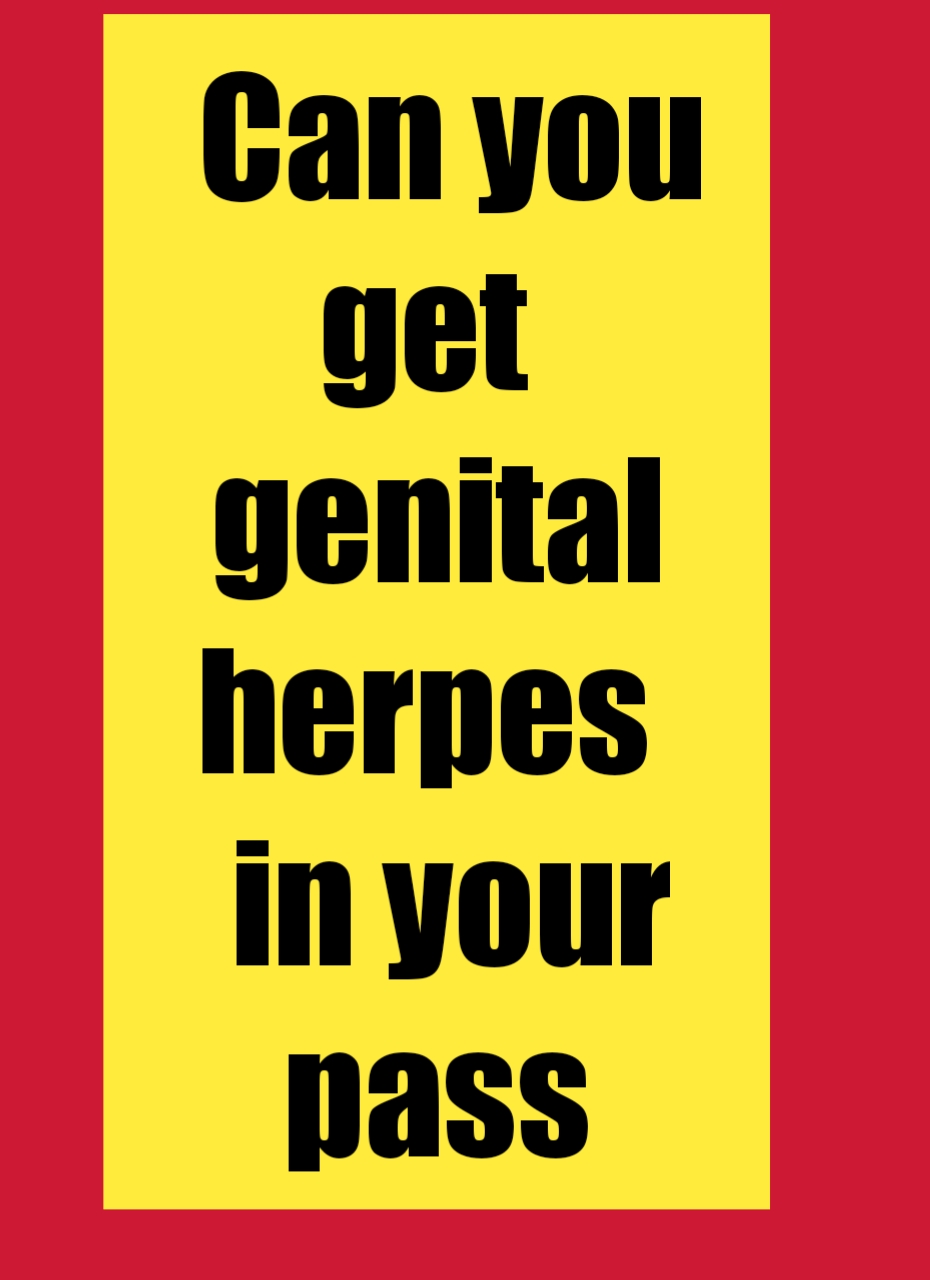 Explore the world of dresses