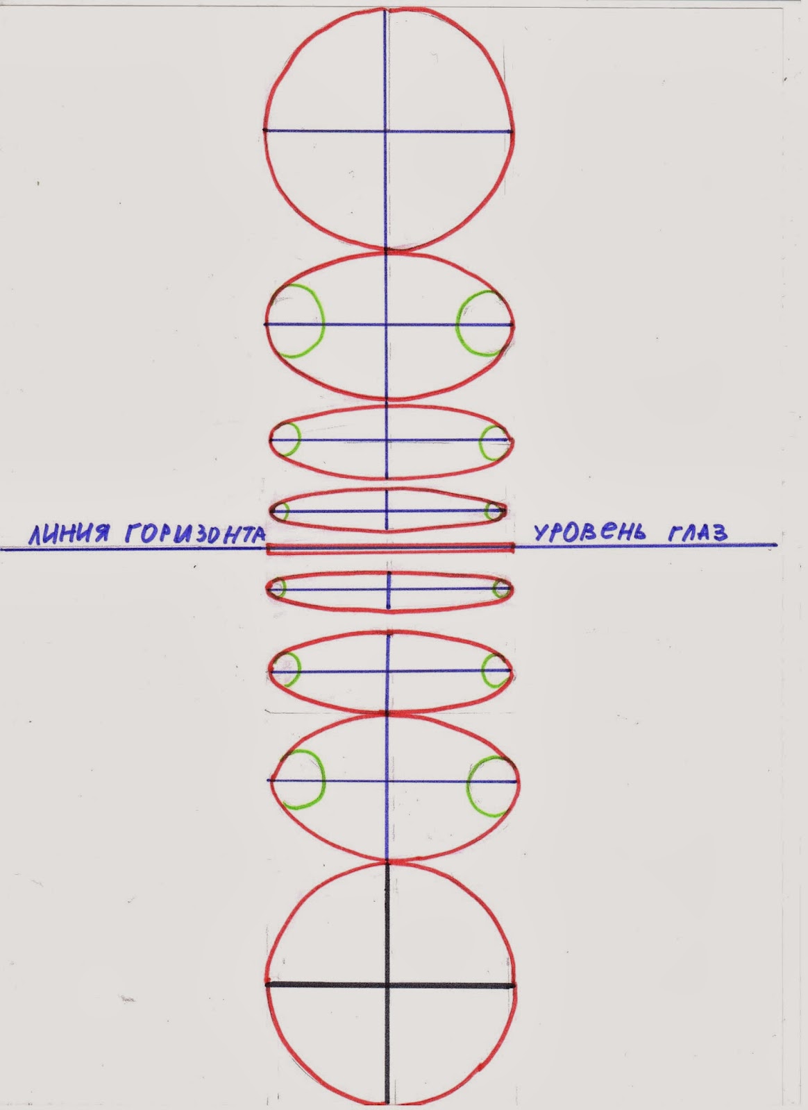 Рисуем эллипсы в перспективе