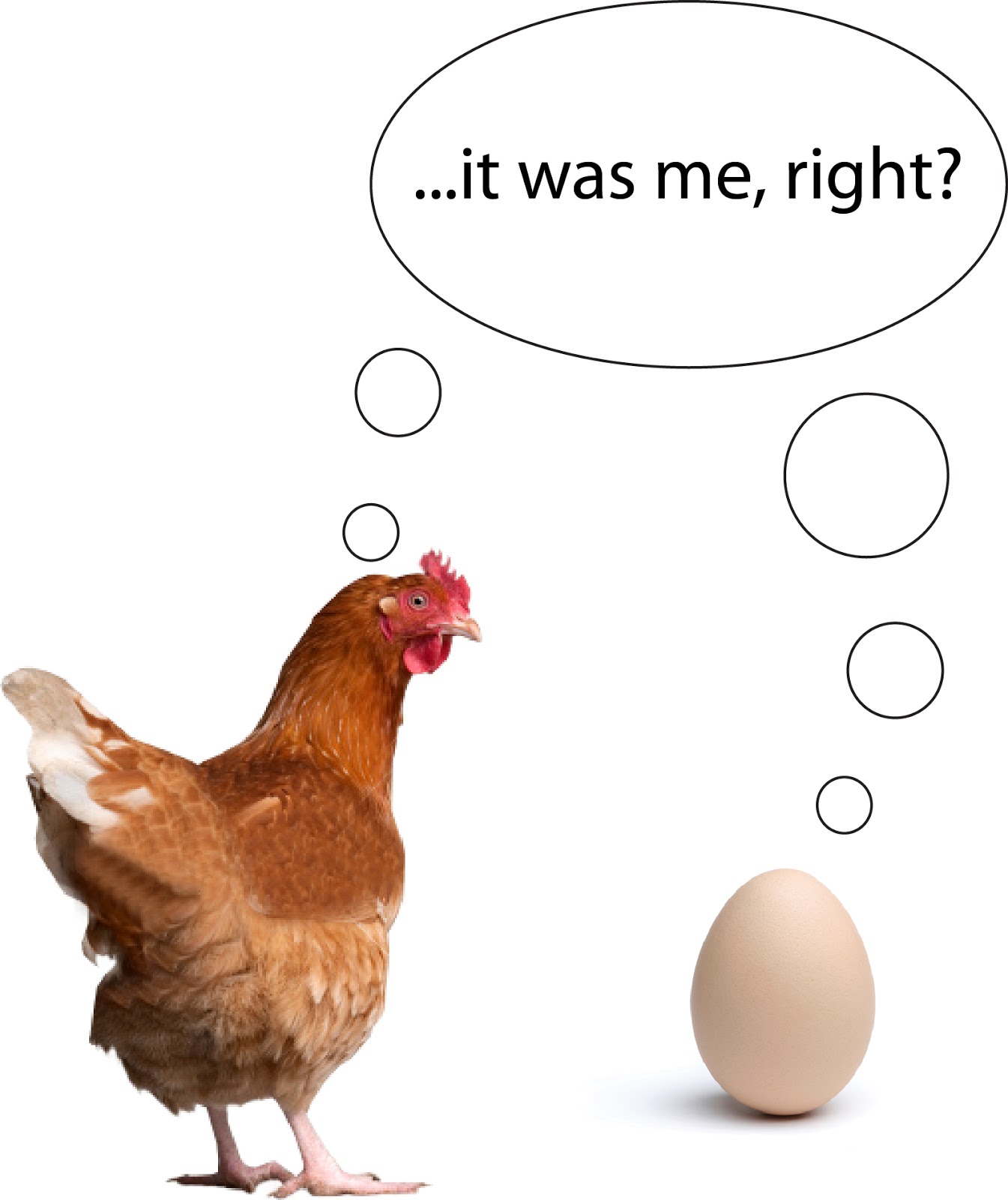 Что появилось первее курица. Парадокс курицы и яйца. Курица или яйцо. Проблема курицы и яйца. Что сначала курица или яйцо.