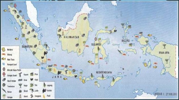 Peta Persebaran Flora Di Indonesia beserta Penjelasannya 