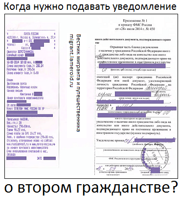 Получили гражданство РФ, нужно подавать уведомление о втором гражданстве?