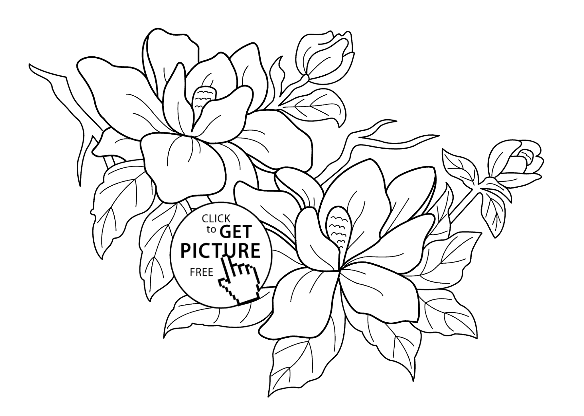 Coloring Pages Trees Plants And Flowers 2 ~ Coloring Pages