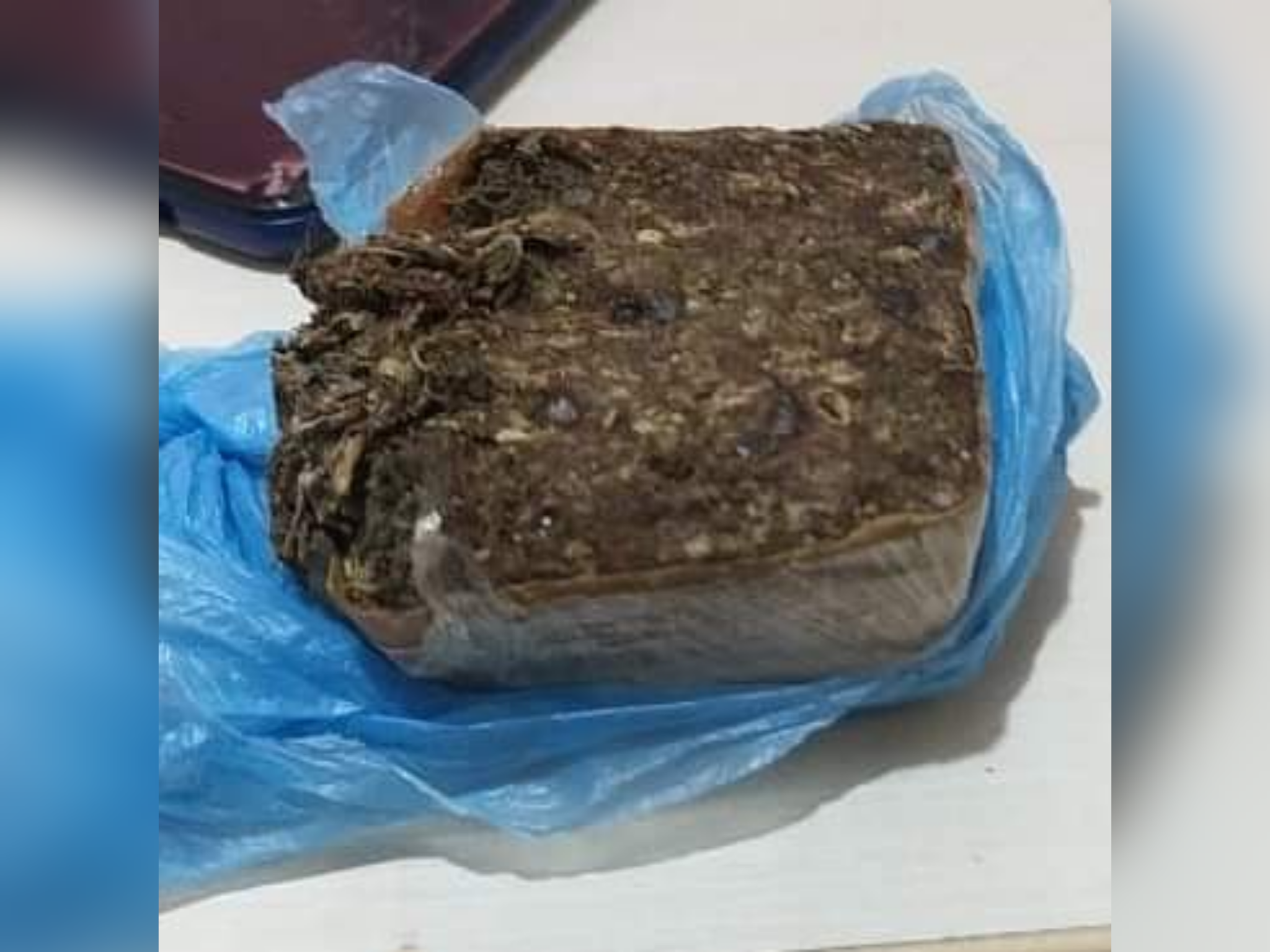 Rayris Souza Ramos de 20 anos foi pega novamente com uma quantidade significativa de drogas, no Residencial Alto Bonito. A mesma teria corrido após avistar a GCM em ronda, no entanto foi capturada pelos guardas e revistada no local, foi encontrado um tablete com características de maconha. Ao ser questionada sobre o achado, ela confessou estar comercializando a droga.