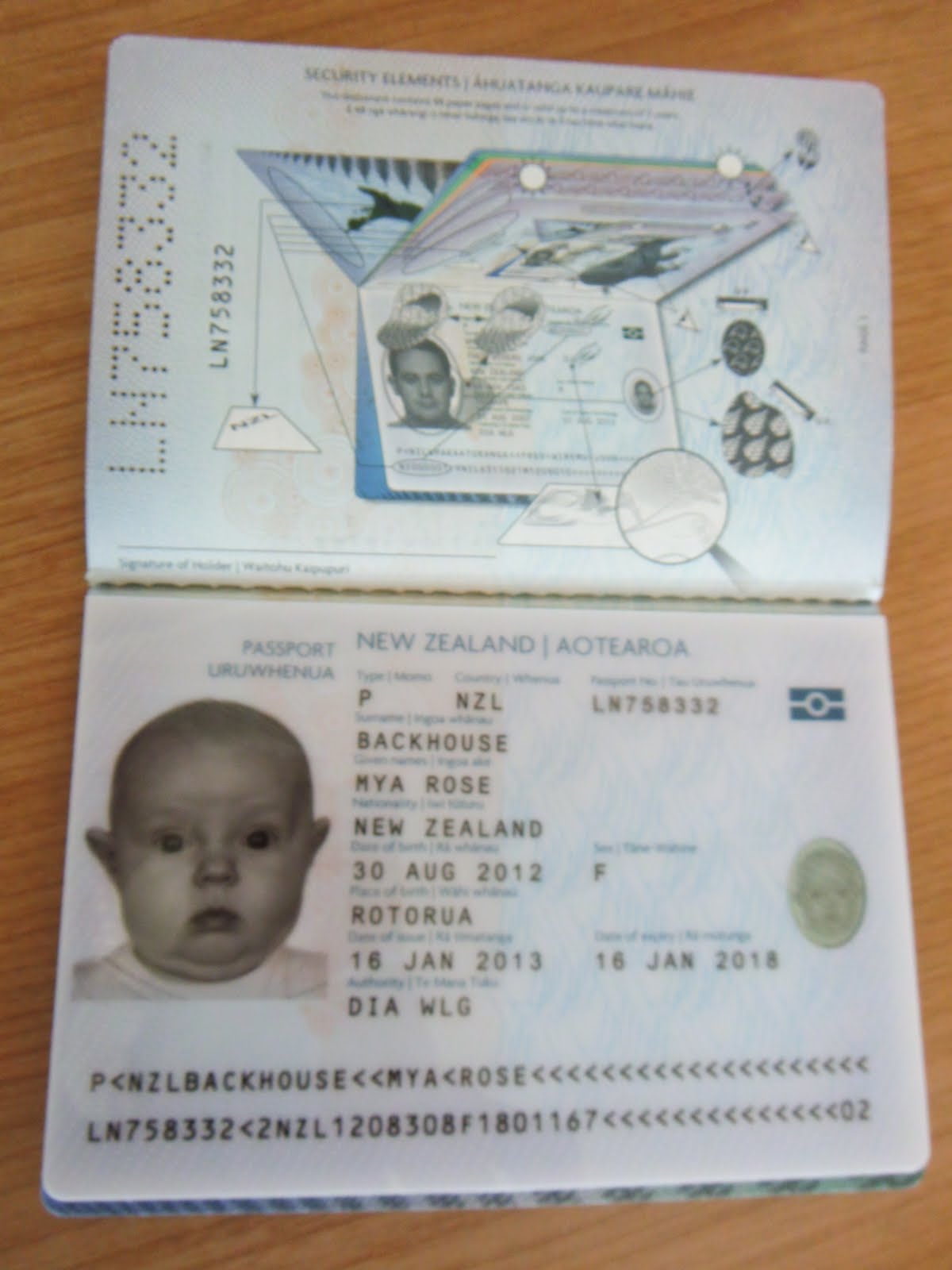 Family Backhouse Have Passport Will Travel!