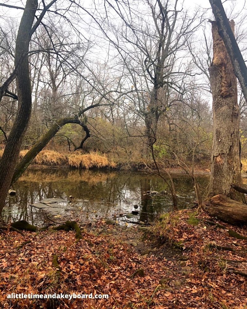 A Little Time and a Keyboard Water Views, Cliffs, Forest Trails and a