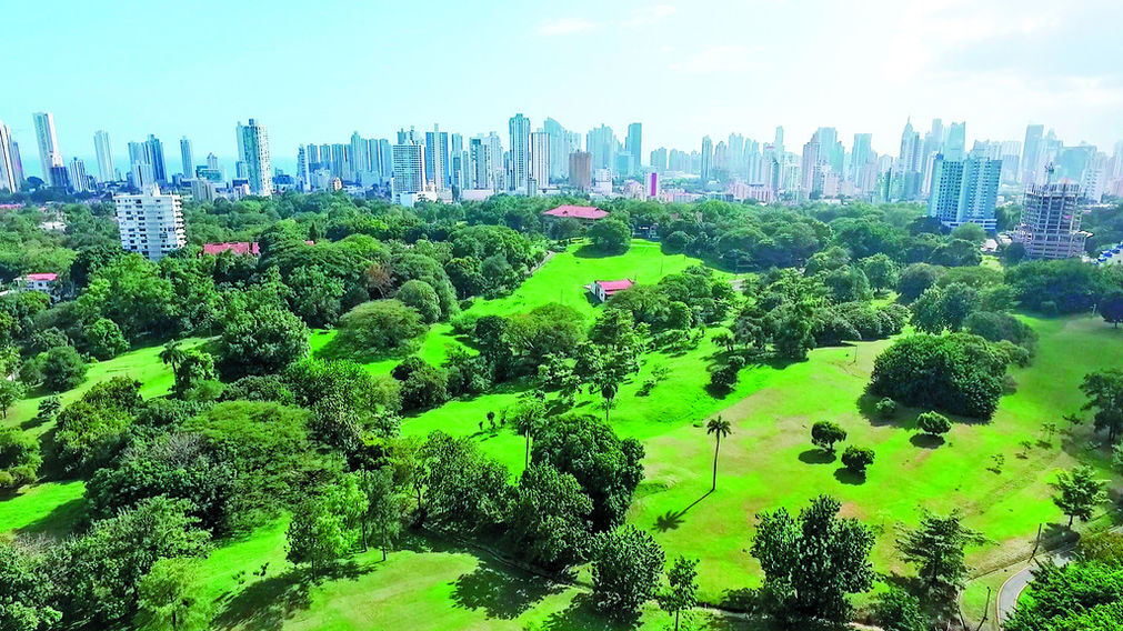 T INFORMO LAS ÁREAS VERDES DE LA CIUDAD DE PANAMÁ. UN RETO ACTUAL